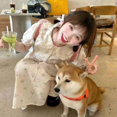 非快速眼动之窗2023夏